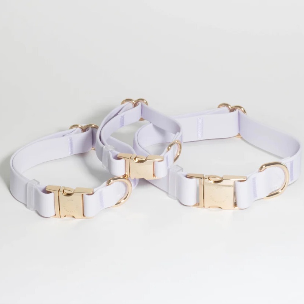 Sunny Tails Lavender Haze Waterproof Dog Collar Gold Hardware Small NEW - Picture 4 of 7